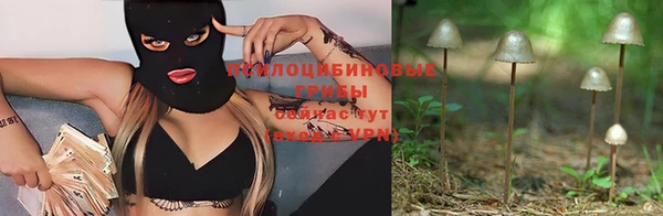 прущие крисы Алексин