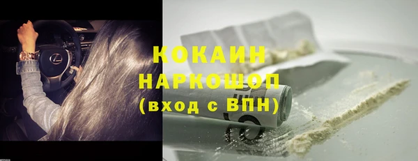 стафф Арсеньев