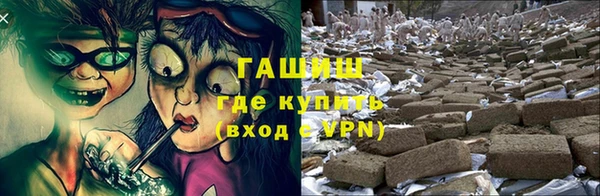 PSILOCYBIN Балахна