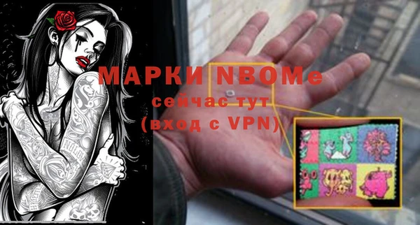 стафф Арсеньев