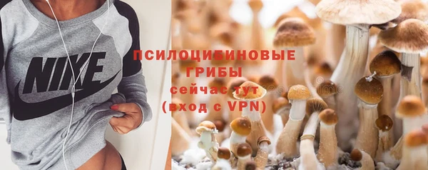 стафф Арсеньев