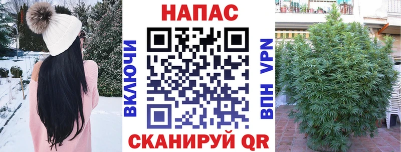 Купить  Суворов  Бошки Шишки гибрид 